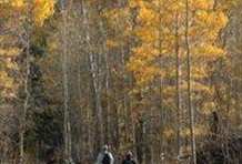 Guided Walking and Hiking Tour